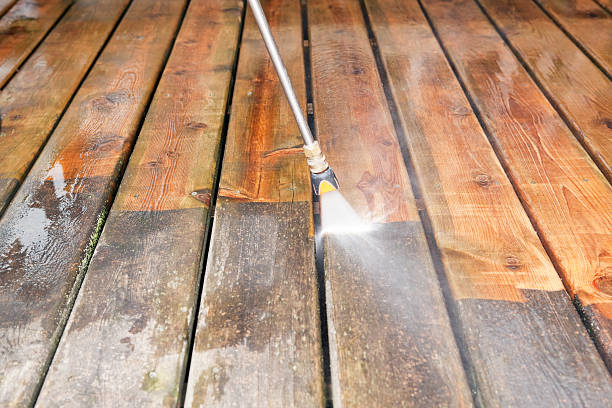 Animal Enclosure Cleaning in Clinton, IL
